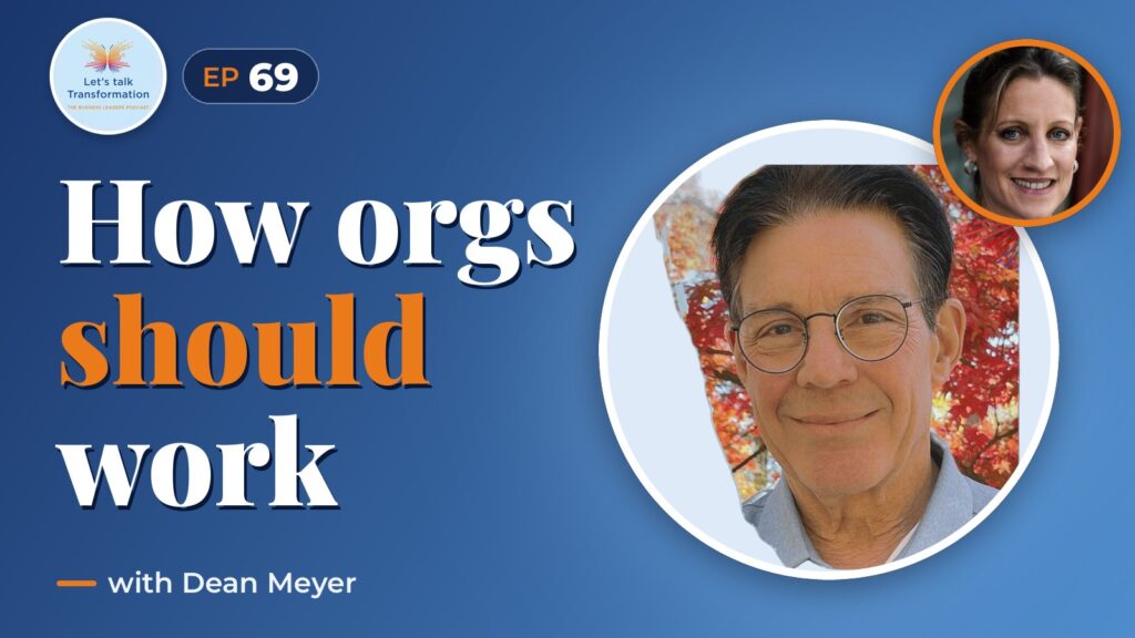How Organizations SHOULD Work: envisioning a high-performing organization with Dean Meyer