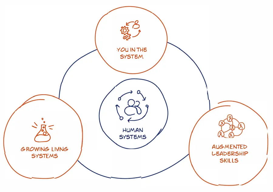 The Human Systems Practitioner programme: Human Systems at the centre, surrounded by three parts: You in the System, Augmented Leadership Skills and Growing Living Systems